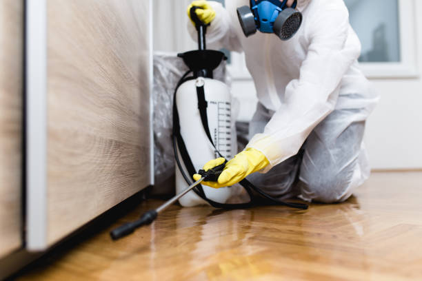 Best Cockroach Control Services  in Coson, OK
