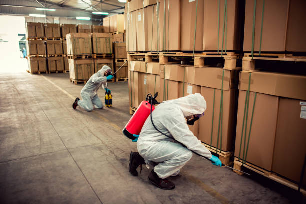 Best Best Pest Control Companies  in Coson, OK