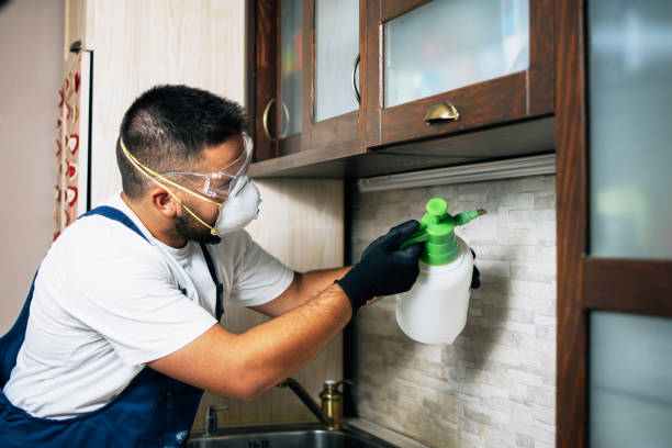  Coson, OK Pest Control Pros