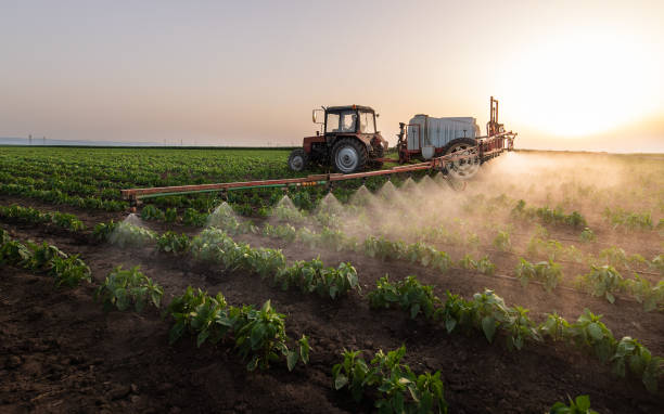 Best Commercial Pest Control Services  in Coson, OK