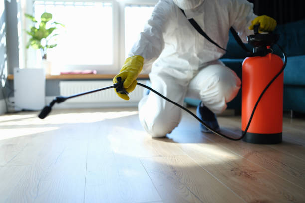 Best Pest Prevention Services  in Coson, OK