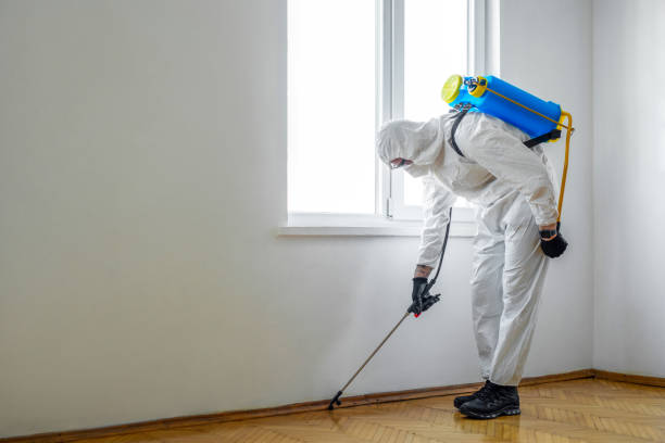Best Emergency Pest Control  in Coson, OK