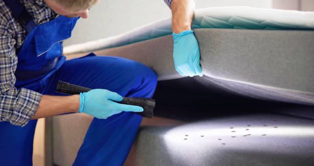 Best Residential Pest Control  in Coson, OK