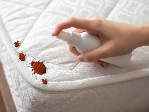 Best Commercial Pest Control Services  in Coson, OK