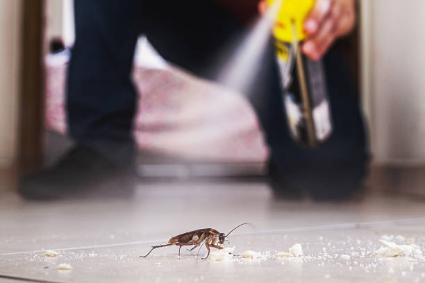 Best Emergency Pest Control  in Coson, OK