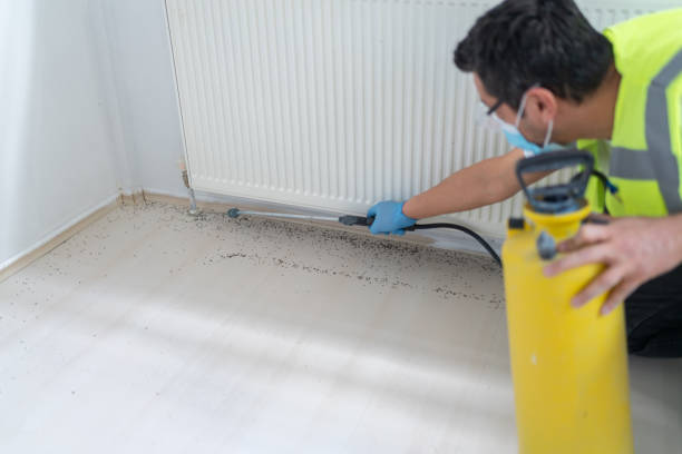 Best Termite Control Services  in Coson, OK