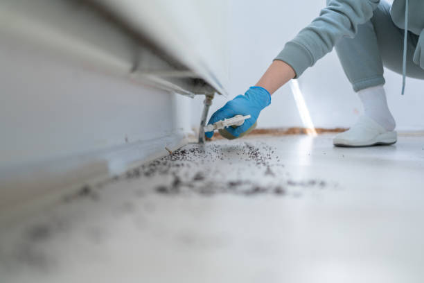 Best Affordable Exterminators  in Coson, OK