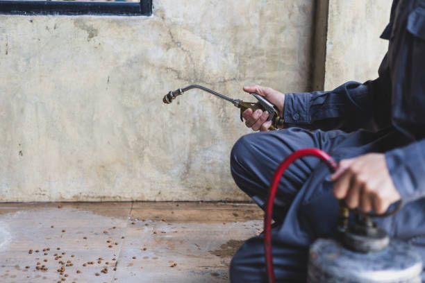 Best Affordable Pest Control Services  in Coson, OK